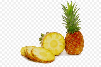 Juice Pineapple Dried Fruit Can -  