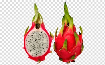 Juice Pitaya Fruit exotique Hylocereus undatus, dragon fruit transparent background PNG clipart