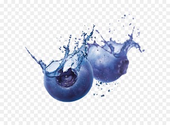 Juice Smoothie Blueberry Drink Liqueur - blueberry 