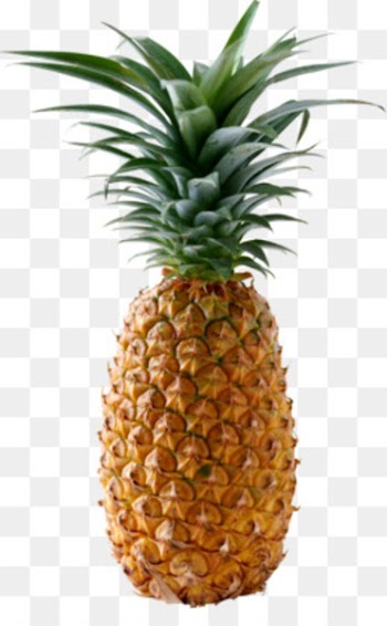 Juice Smoothie Pineapple Fruit Canning - Pineapple fruit pineapple 
