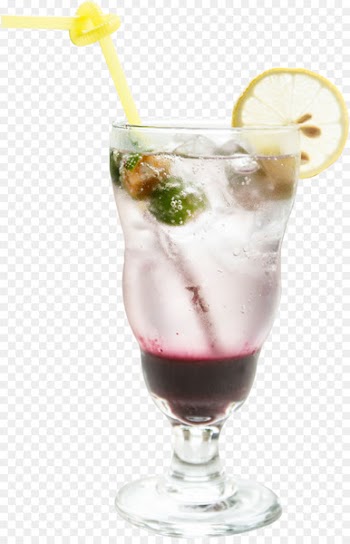 Juice Spritzer Cocktail garnish Lemonade - Blueberry bubble drink 