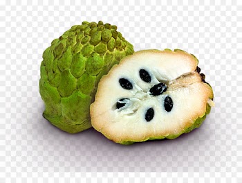 Juice Sugar apple Cherimoya Soursop Fruit - subtropical 