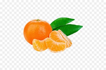 Juice Tangerine Mandarin orange Photography - tangerine 