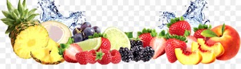 Juice Tea Fruit Infusion Infuser - mix fruit 