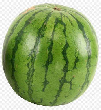 Juice Watermelon Muay Thai - Watermelon 