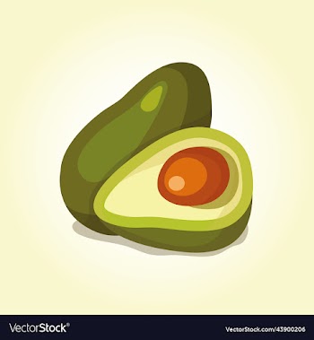 juicy fruit of ripe avocado the whole fruit