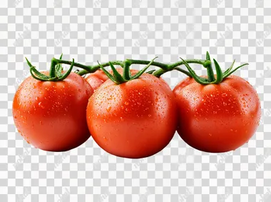 Juicy Red Tomatoes: A Hyper-Realistic Showcase of Freshness Juicy Red Tomatoes: A Hyper-Realistic Showcase of Freshness
