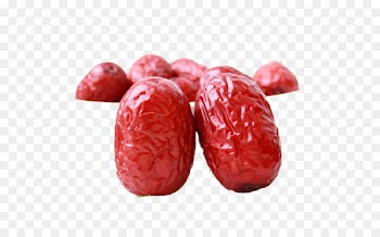 Jujube Date palm Cranberry - Delicious big red dates 