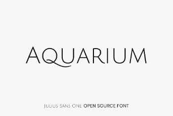 Julius Sans One open source | Free Font Add-on - rawpixel