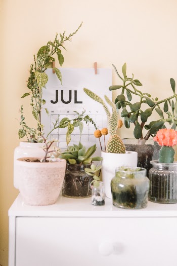 July // Calendar Series