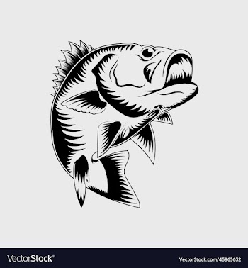 jumping bass fish