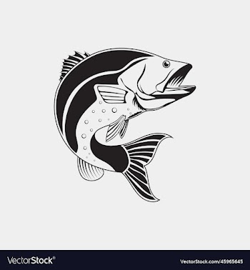 jumping bass fish