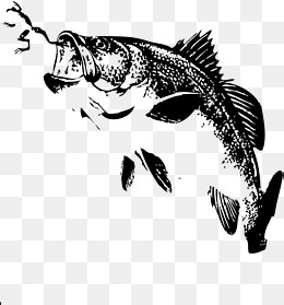Jumping Fish PNG Images | Vectors and PSD Files | Free Download on ...
