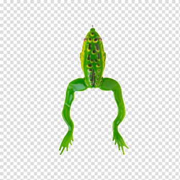 Jumping Frog PNG Transparent Image