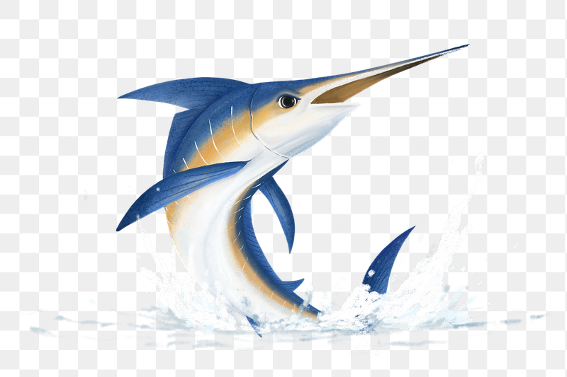 Jumping marlin fish png sticker, | Free PNG Illustration - rawpixel