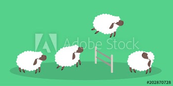 Jumping sheep on green