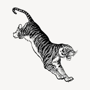 Jumping tiger, animal illustration vector. | Free Vector Illustration - rawpixel