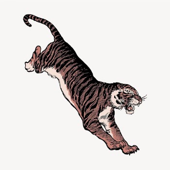 Jumping tiger clipart, wildlife aesthetic, | Free Vector Illustration - rawpixel