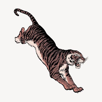 Jumping tiger collage element, wildlife | Free PSD Illustration - rawpixel
