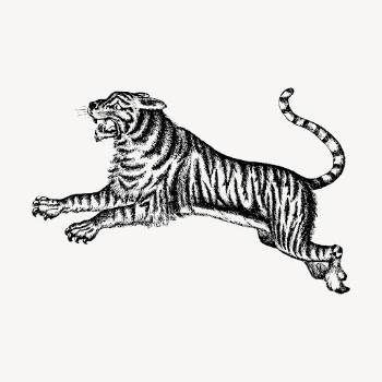 Jumping tiger hand drawn clipart, | Free Vector - rawpixel