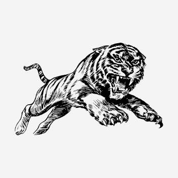 Jumping tiger hand drawn illustration. | Free Photo - rawpixel
