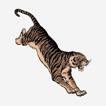 Jumping tiger illustration. Free public | Free Photo - rawpixel