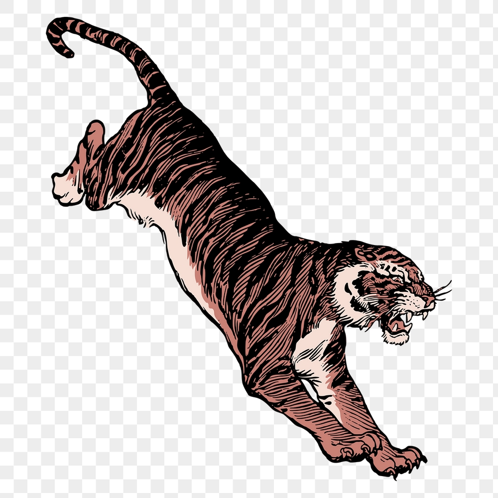 Jumping tiger png sticker, animal | Free PNG Illustration - rawpixel