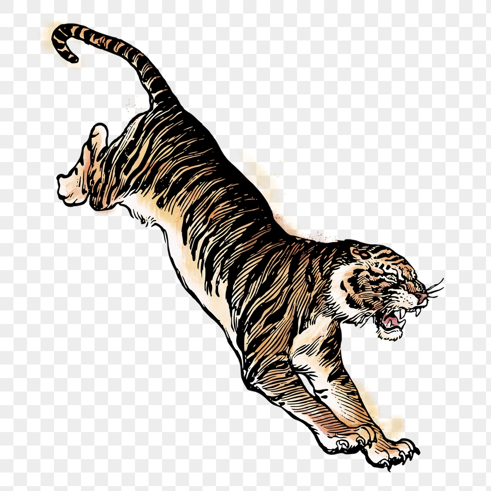 Jumping tiger png sticker, animal | Free PNG Illustration - rawpixel