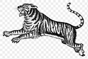 Jumping tiger png sticker, predator | Free PNG - rawpixel
