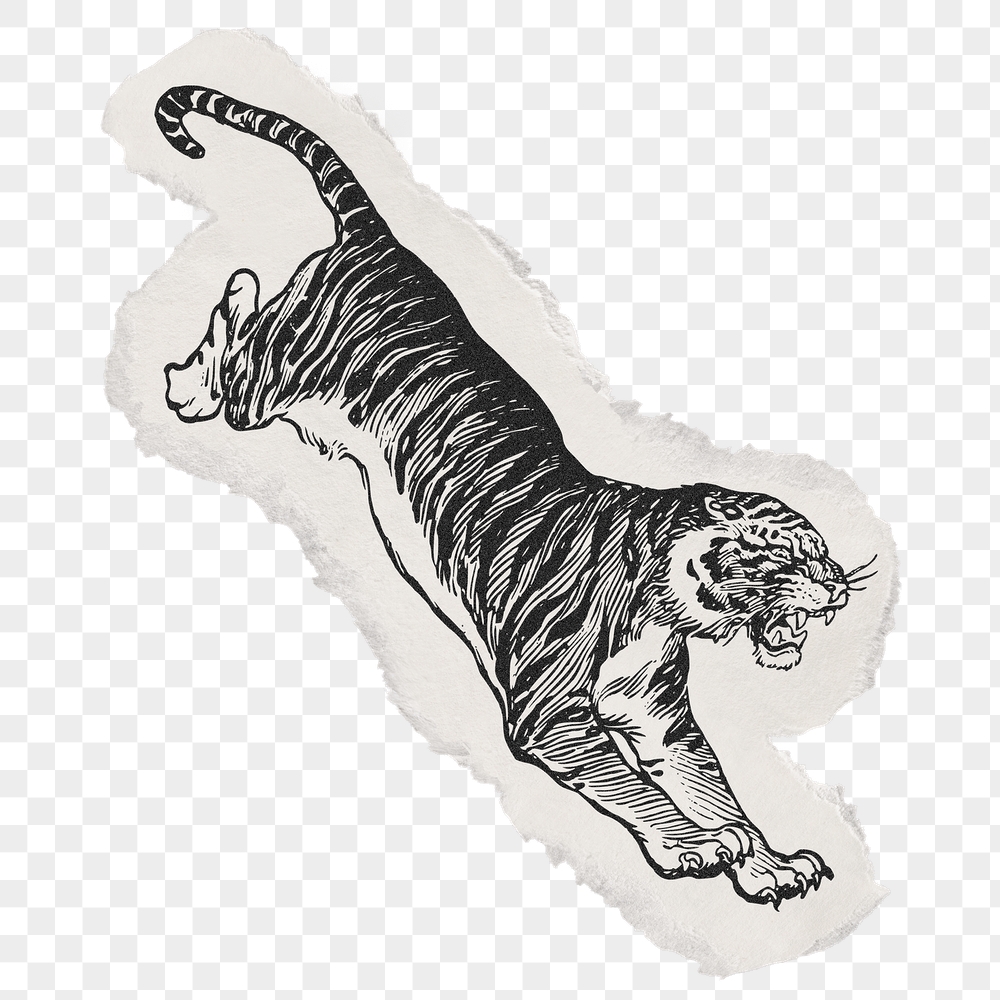 Jumping tiger png sticker, ripped | Free PNG Illustration - rawpixel
