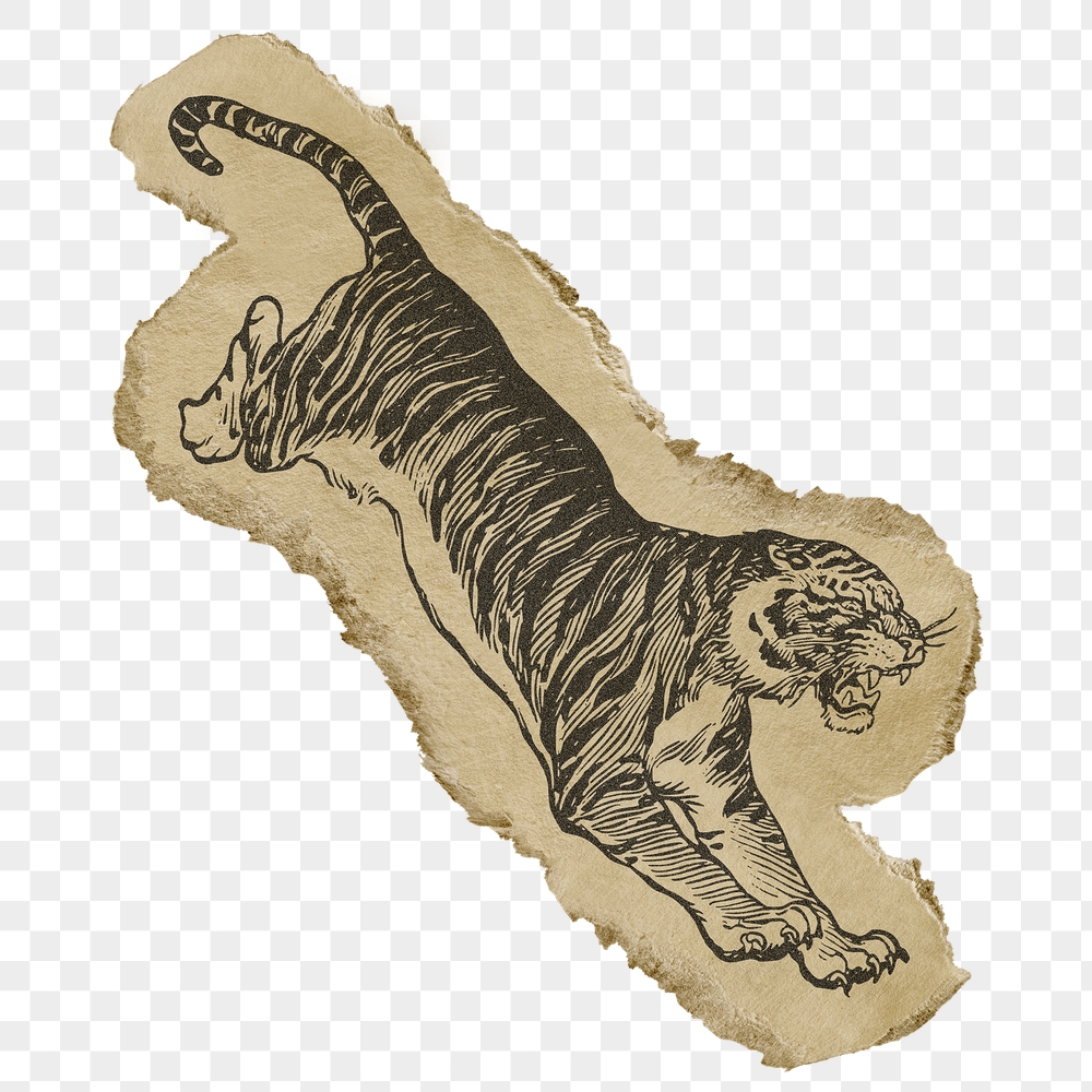 Jumping tiger png sticker, ripped | Free PNG Illustration - rawpixel