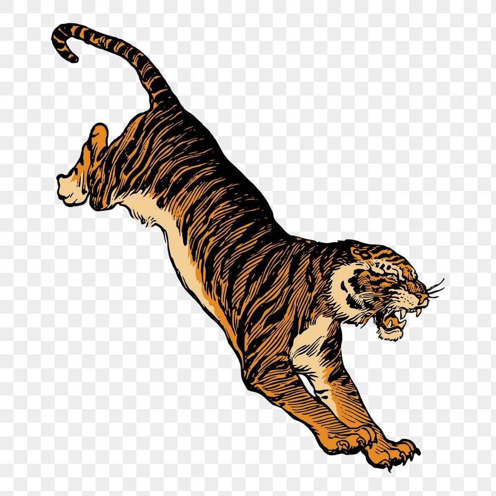 Jumping tiger png sticker, vintage | Free PNG Illustration - rawpixel