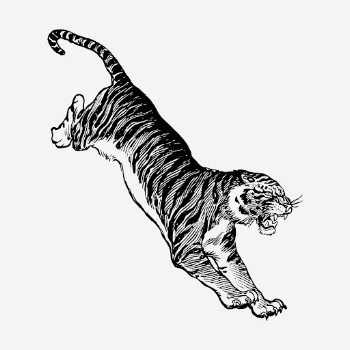 Jumping tiger, vintage animal illustration. | Free Photo Illustration - rawpixel