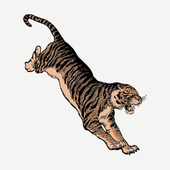 Jumping tiger vintage clipart, wildlife | Free PSD - rawpixel