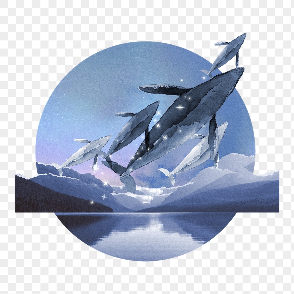 Jumping whale png round badge, | Free PNG Illustration - rawpixel