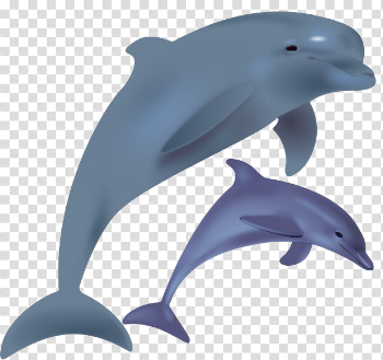 Jumpnig Dolphin PNG Image
