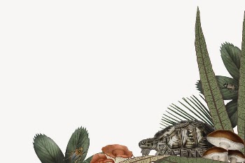 Jungle animals border, turtle illustration | Free PSD Illustration - rawpixel