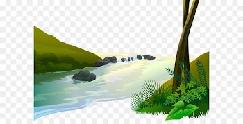 Jungle Cartoon Clip art - Vector river 