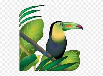 Jungle Clip Art - Amazon Clipart