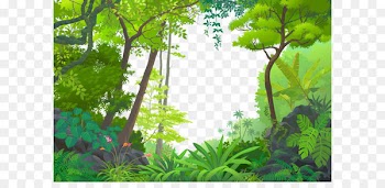 Jungle Euclidean vector Tropical rainforest - Cartoon Forest 