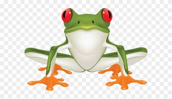 Jungle Frog Cliparts Free Download Clip Art Free Clip - Clip Art Tree Frog