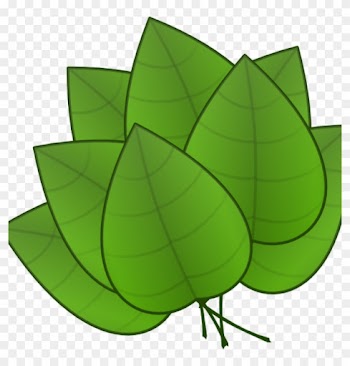 Jungle Leaves Clipart Jungle Leaves Clipart Free Jungle - Parts Of The Plants Leaf