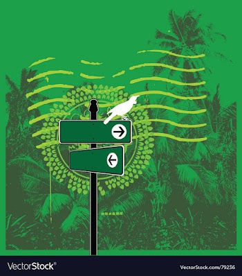 Jungle mail vector image