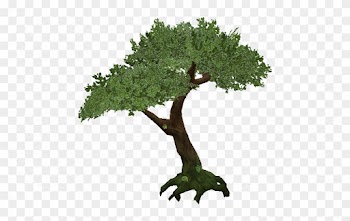 Jungle Tree Png Transparent - Jungle Tree Png