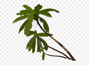 Jungle Tree Vector Png