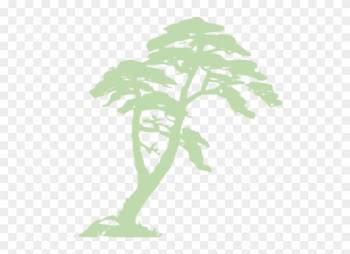 Jungle Trees Clipart
