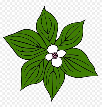 Jungle Tropical Rainforest Plant Clip Art - Jungle Tropical Rainforest Plant Clip Art