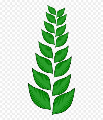 Jungle Vines Clipart - Vine Tree Cartoon