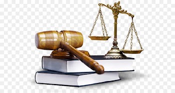 Jurist Lawyer Law firm Legal advice - lawyer 