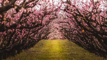 Just beautifull !! Please go like this pic on my Instagram : https://www.instagram.com/guimgn